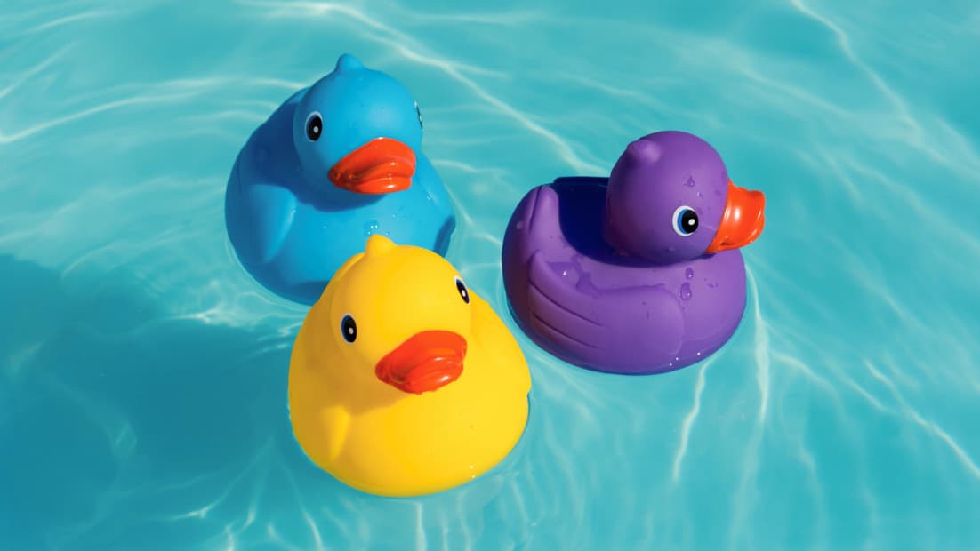 Drei Badeenten in Gelb, Blau und Violett schwimmen in einem Pool.